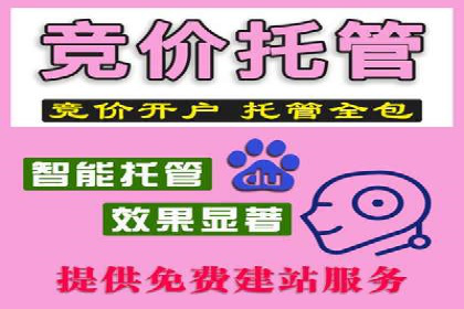 实战经验：竞价推广案例解析与优化策略分享